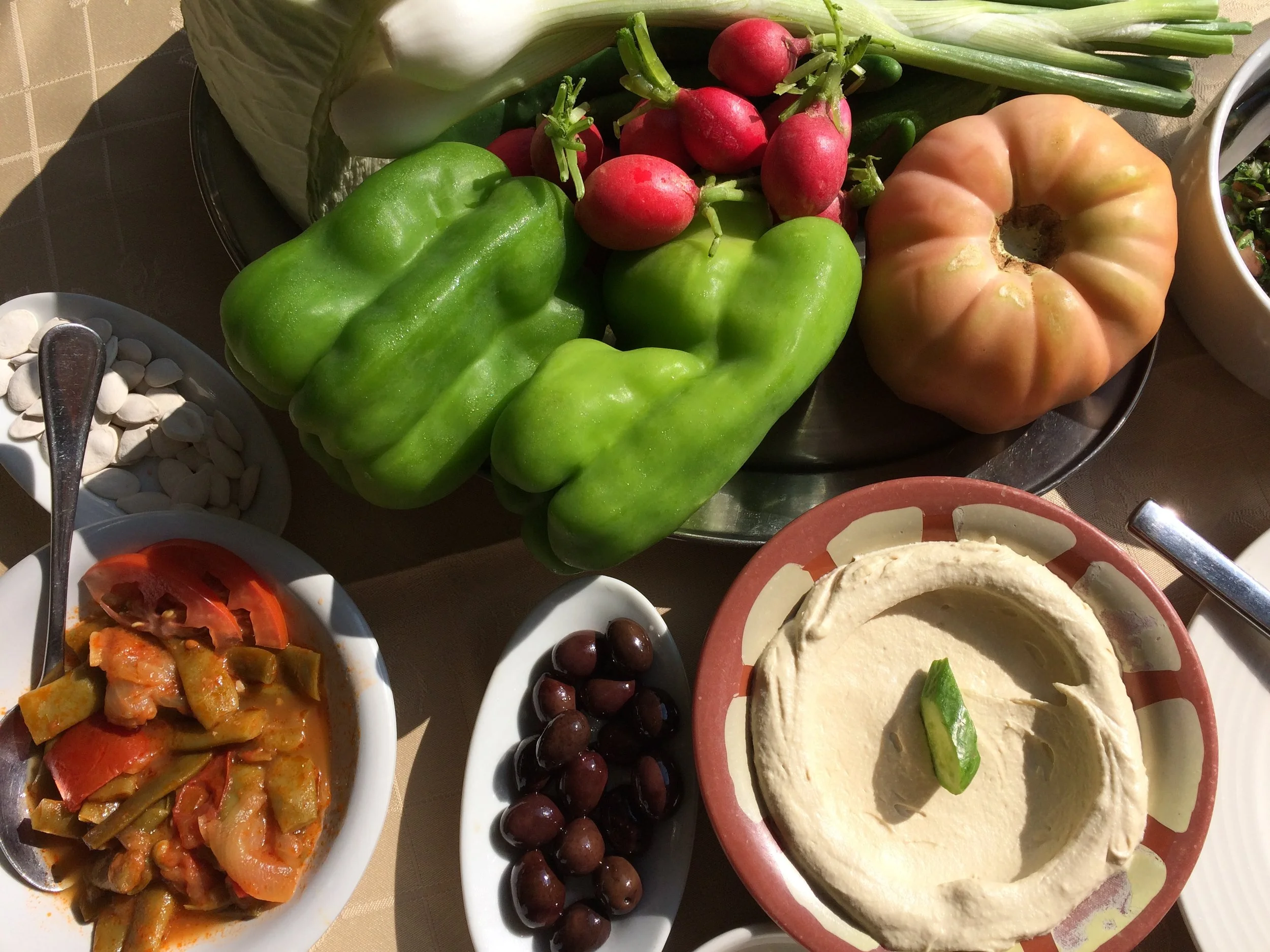 Lebanese Food, Melbourne belly dancer