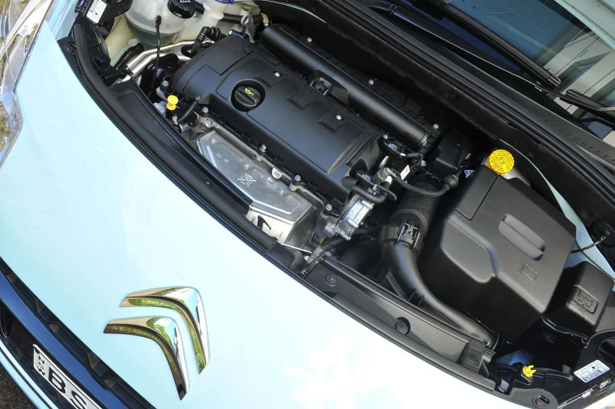 Show Me, Tell Me Questions Guide