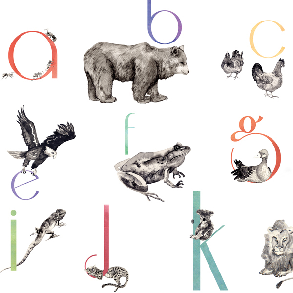 alphabet poster close up