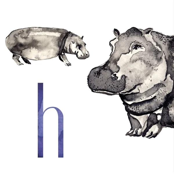 the letter h