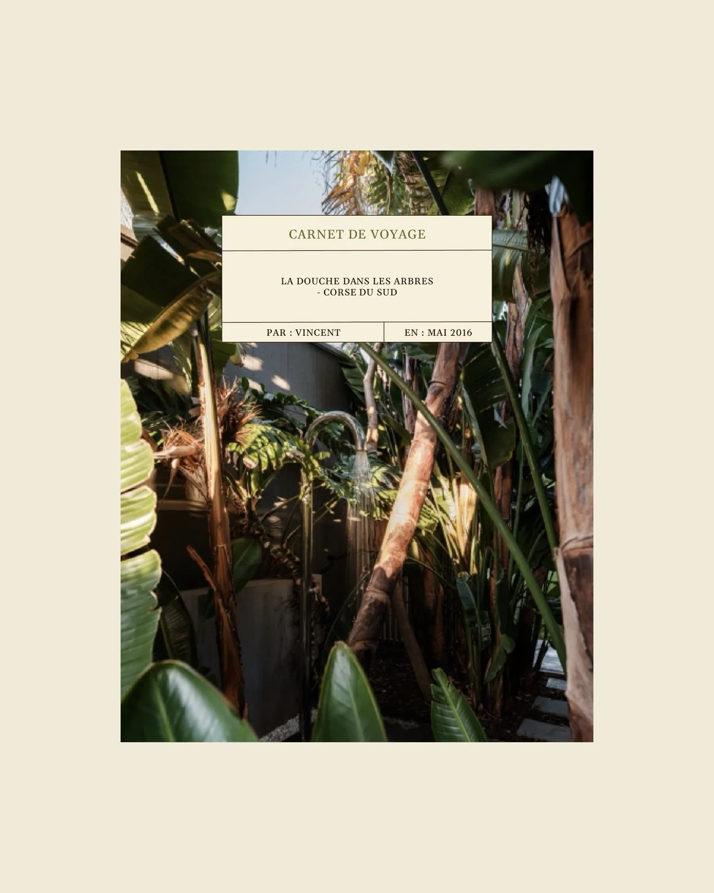 Archive 2016 : une ligne d'eau dans les arbres.
corse du sud. carnet d&rsquo;une inspiration lointaine.