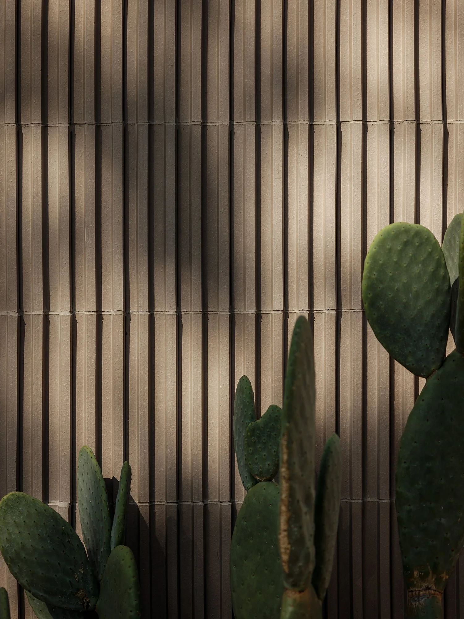 Ramatuelle-50-MOD.jpg
