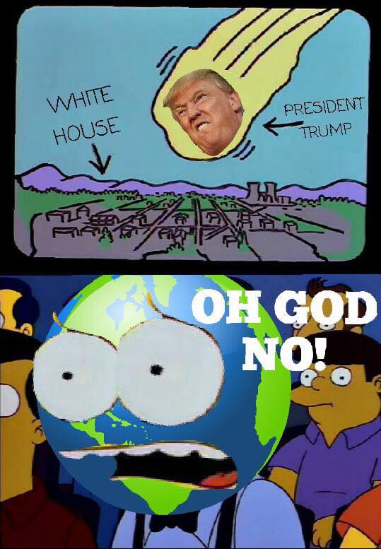Thanks, Mike from The Simpsons Against Donald Trump .