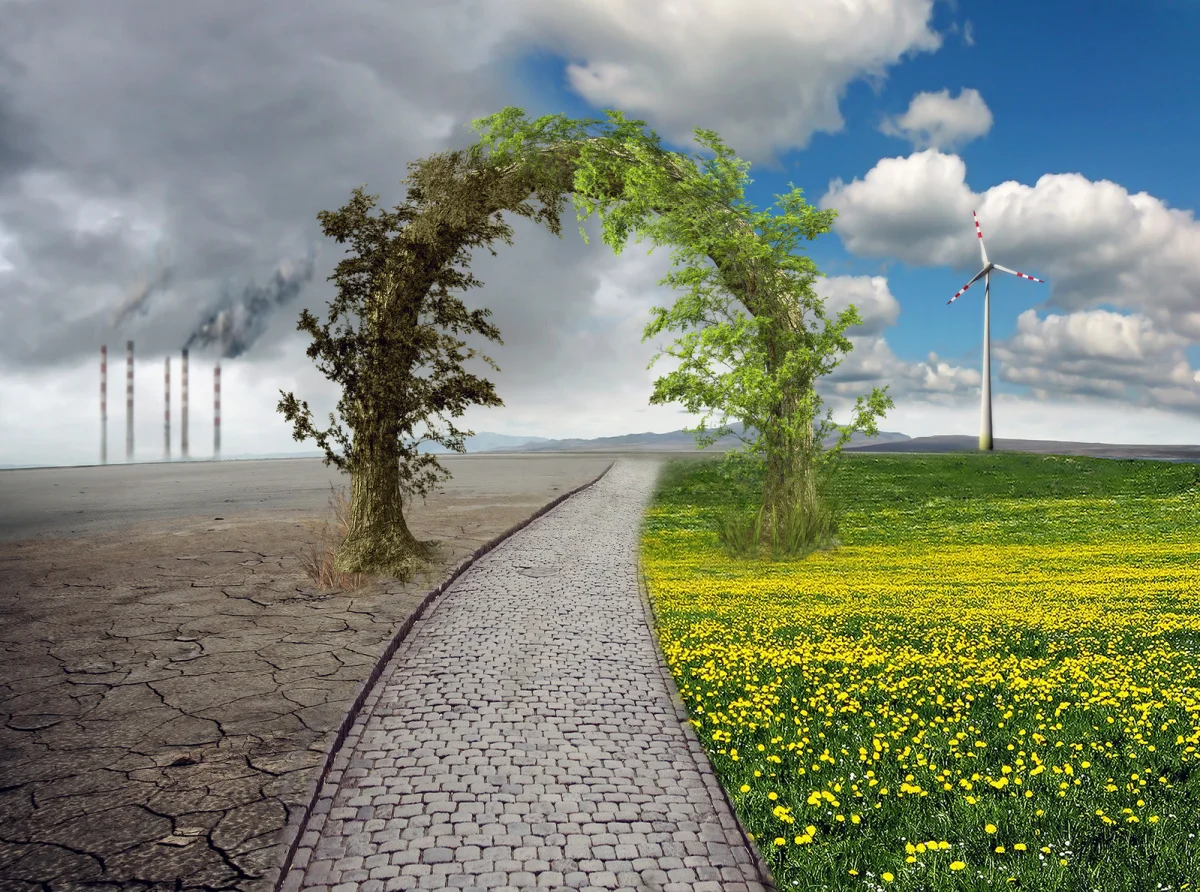 2016 Was the Best Year Ever for Renewable Energy