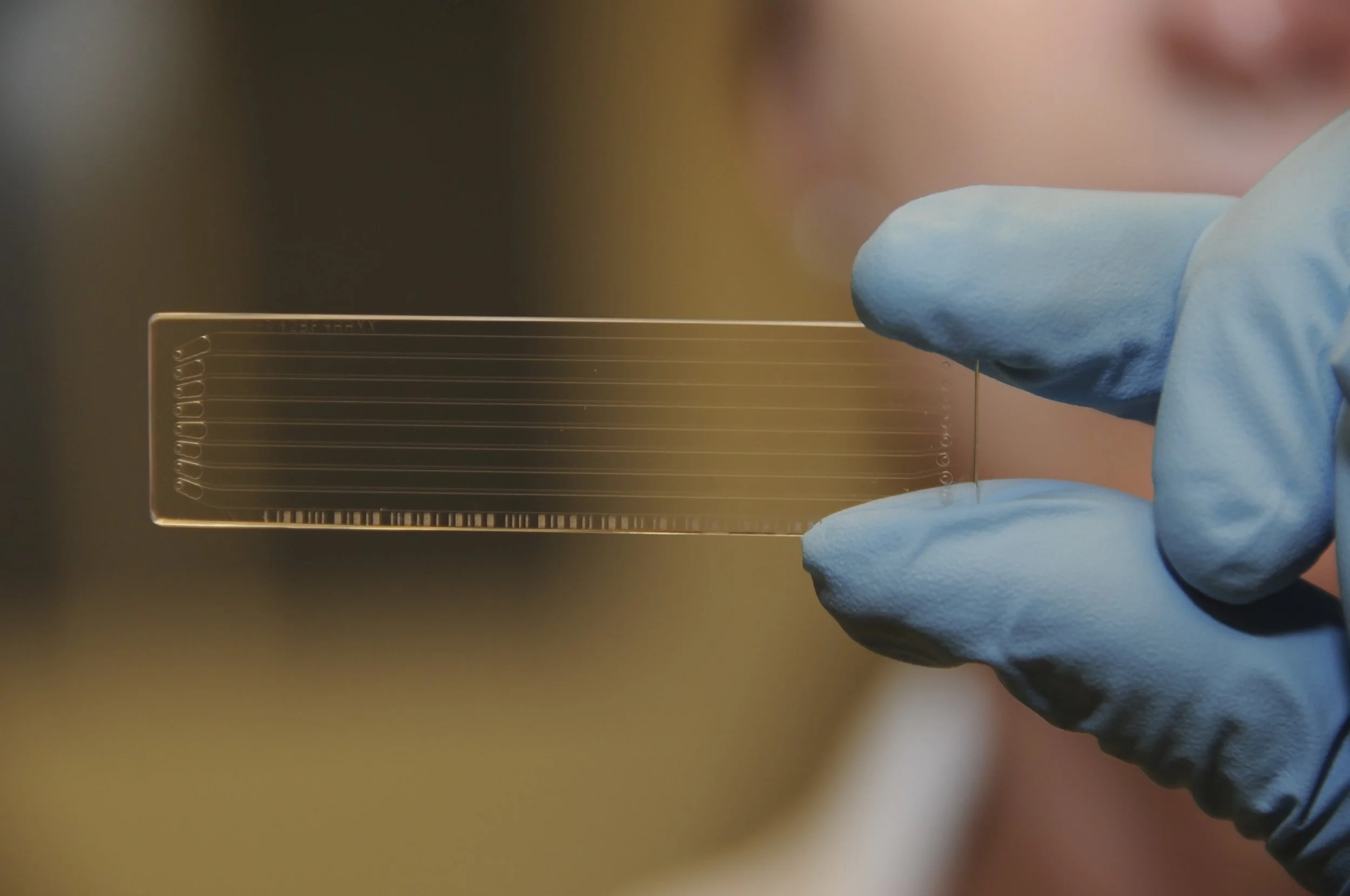 This is an Illumina gene chip. You can fit the code of life for 5 human beings on this thing.