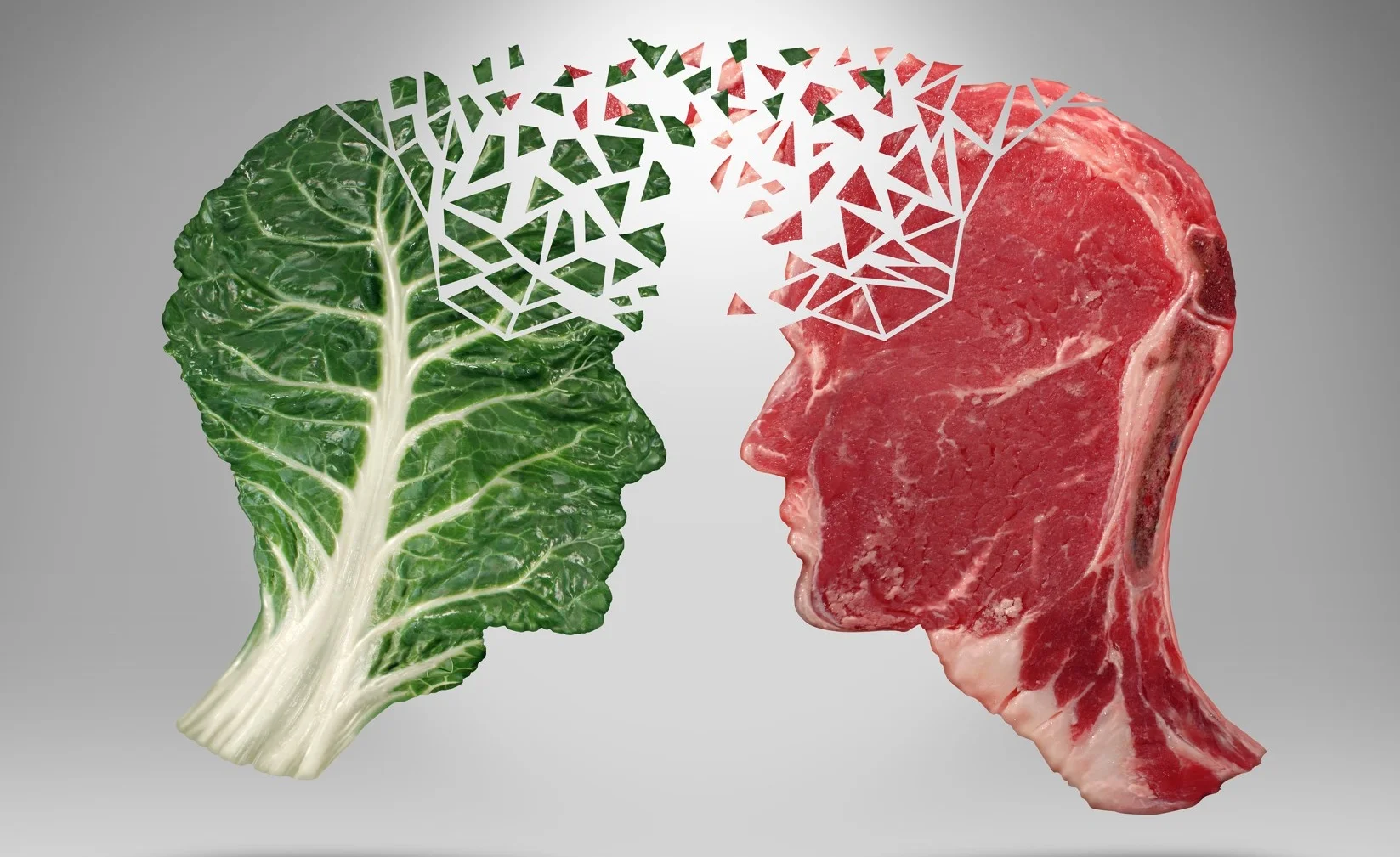The Information Diet