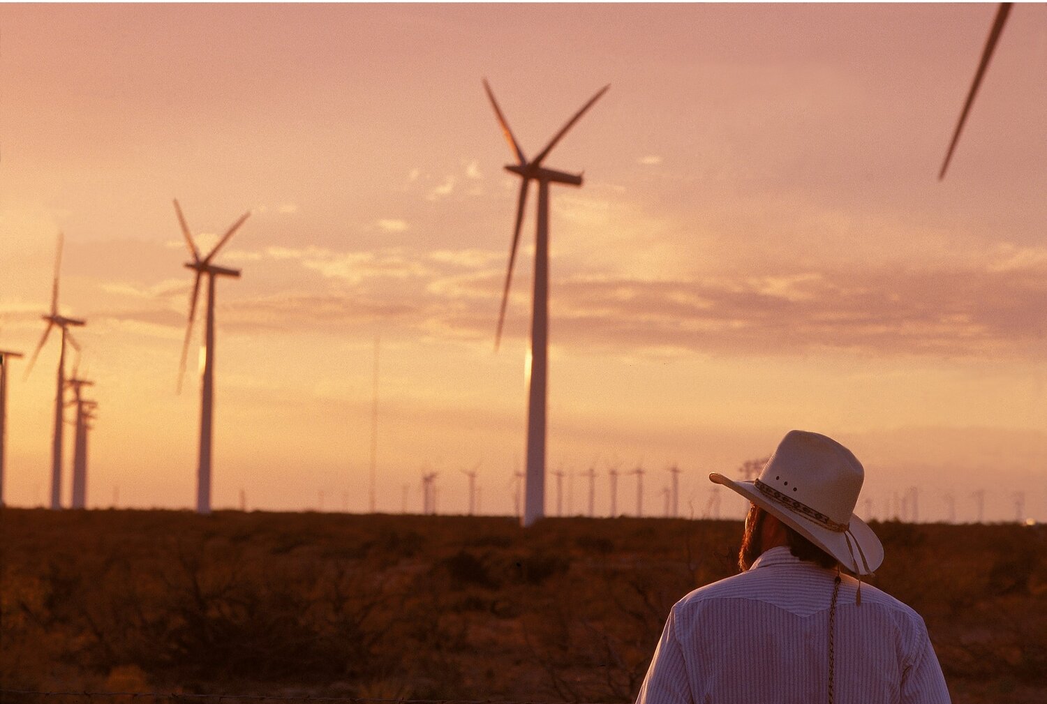 The King Mountain Wind Ranch in Texas. “I never thought that wind would pay more than oil. That noise they make – it’s kind of like a cash register.”  Image credit:   Cielo Wind Power Corporation