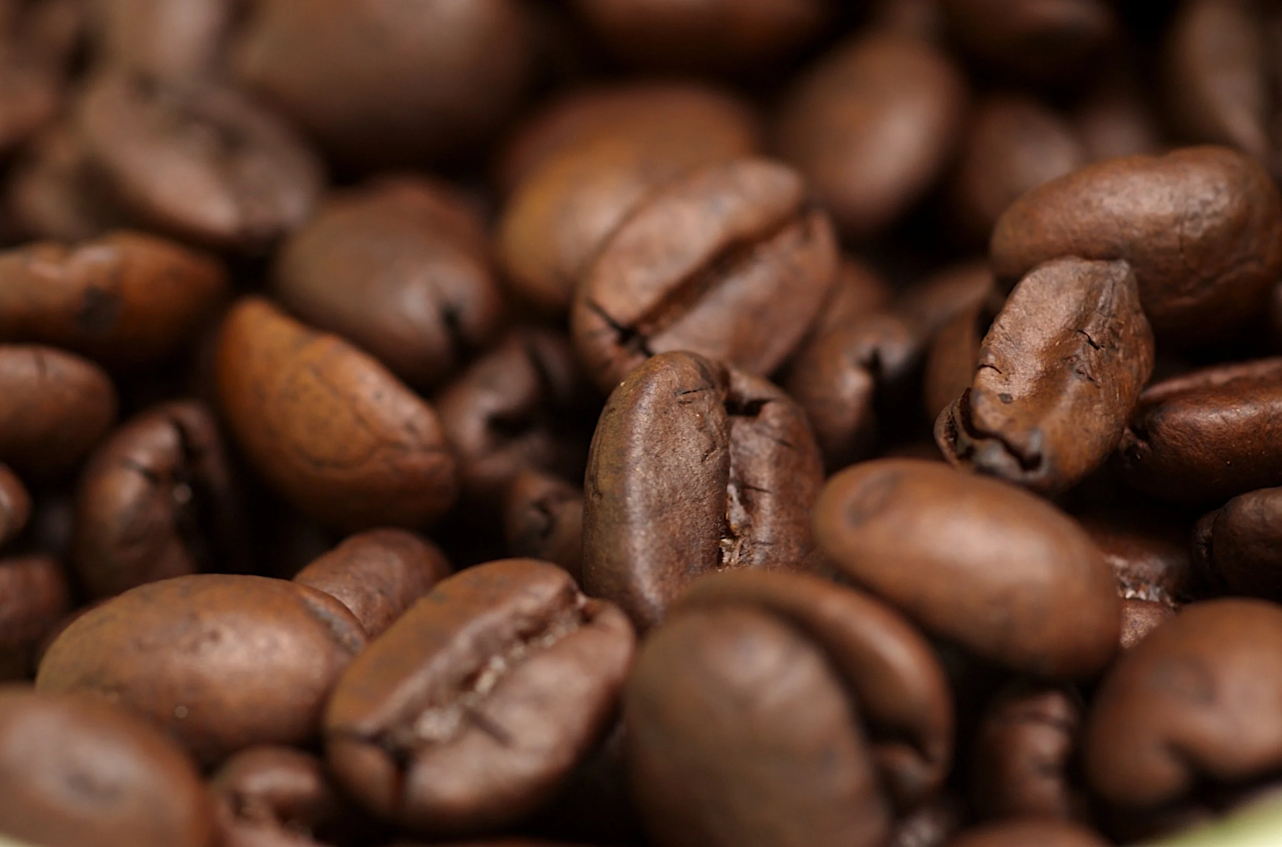 coffee-bean08.jpg