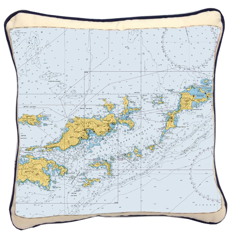 BVI-chart-Mock-up.jpg