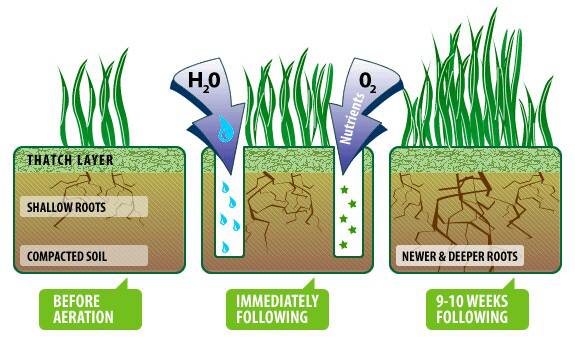 Core Aeration Benefits...