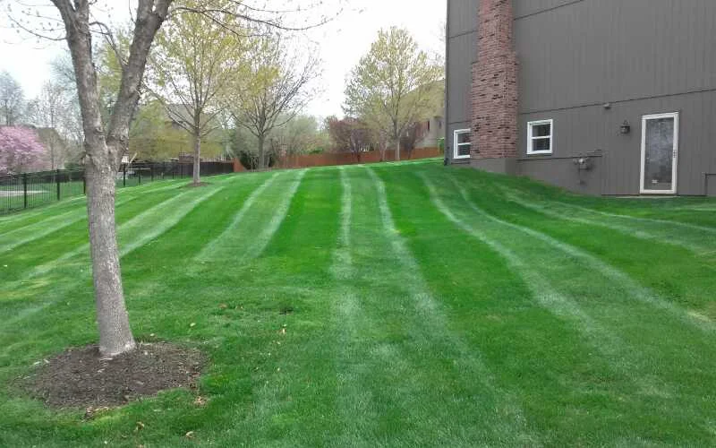 Smith Lawn 3.jpg