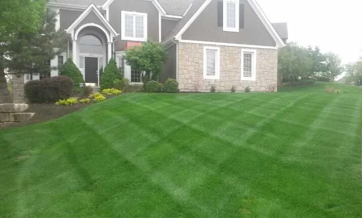 Smith Stripe 2.jpg