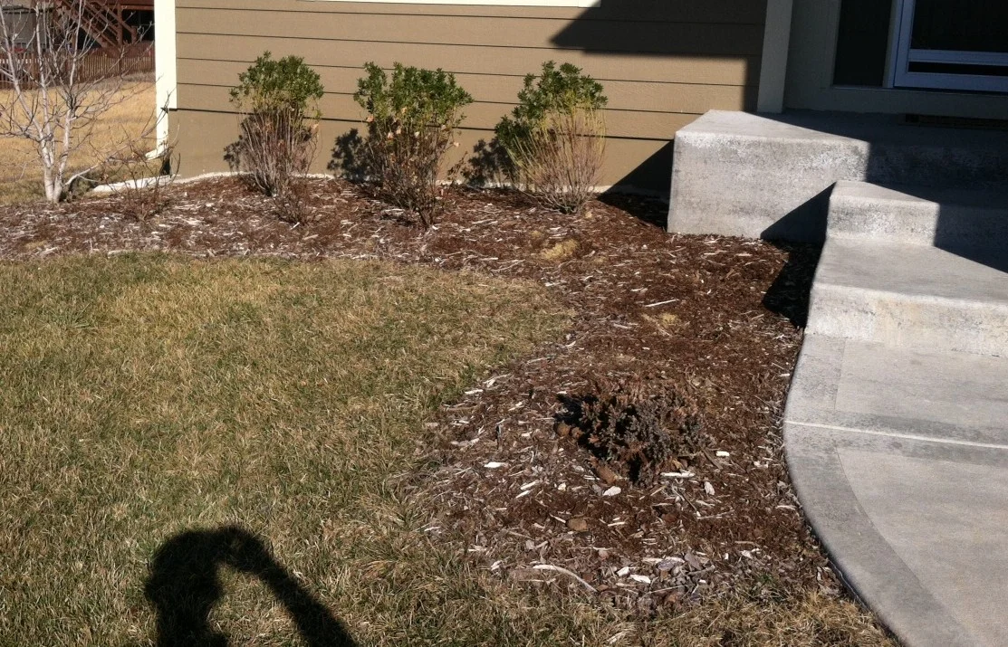 Circle Patio Before.JPG