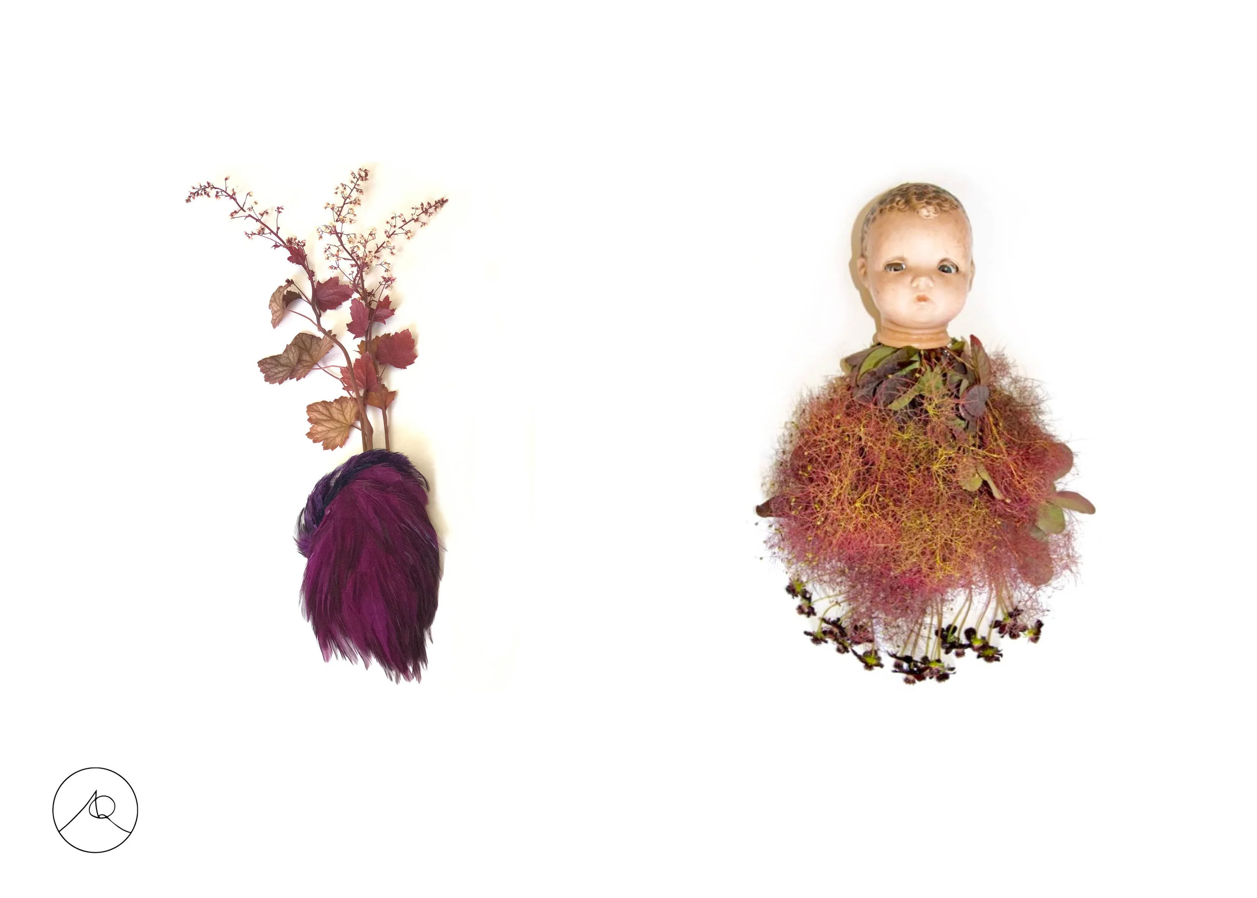 AQ_FloralDeck11:8 new3.jpg