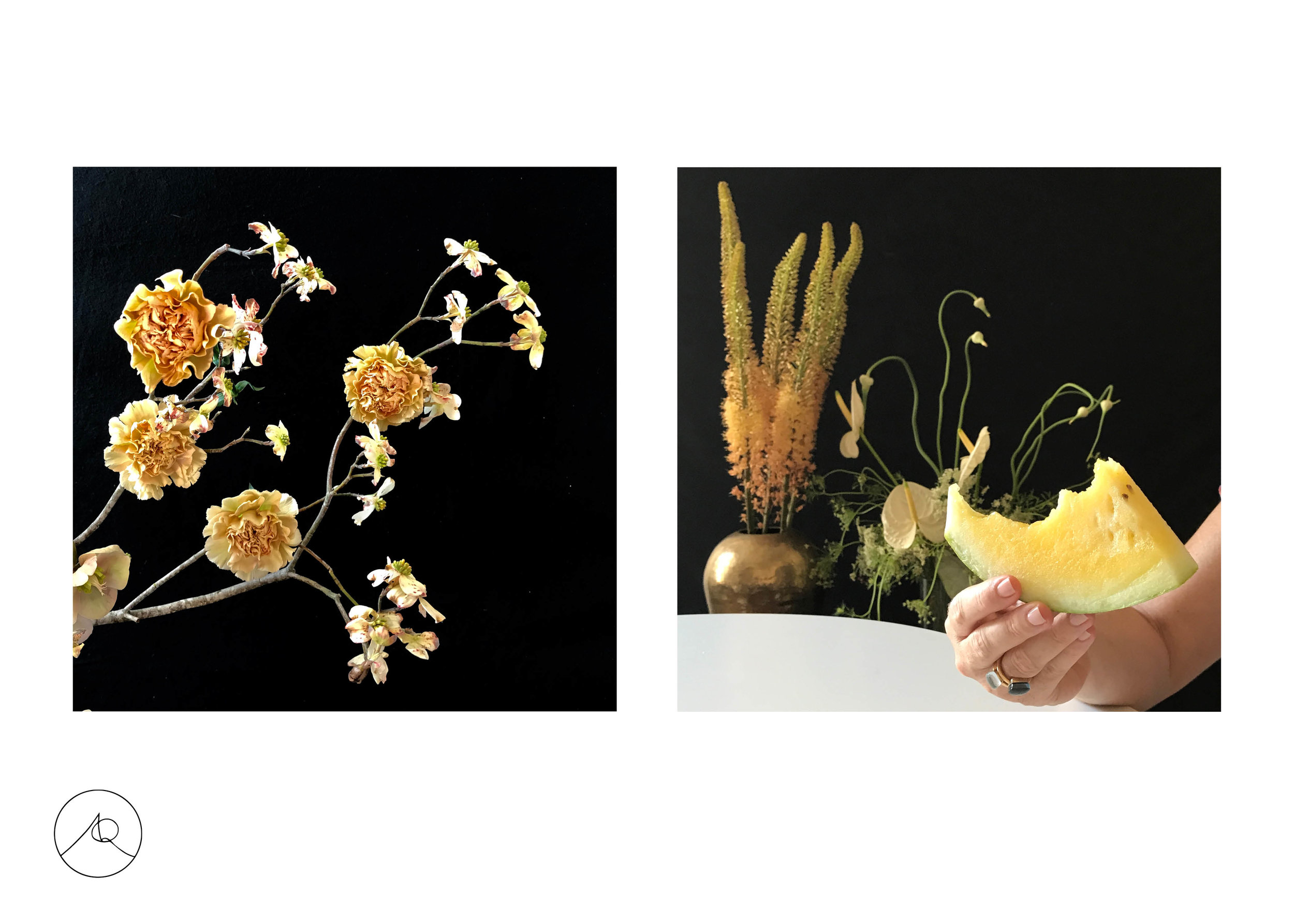 AQ_FloralDeck11:8 new4.jpg