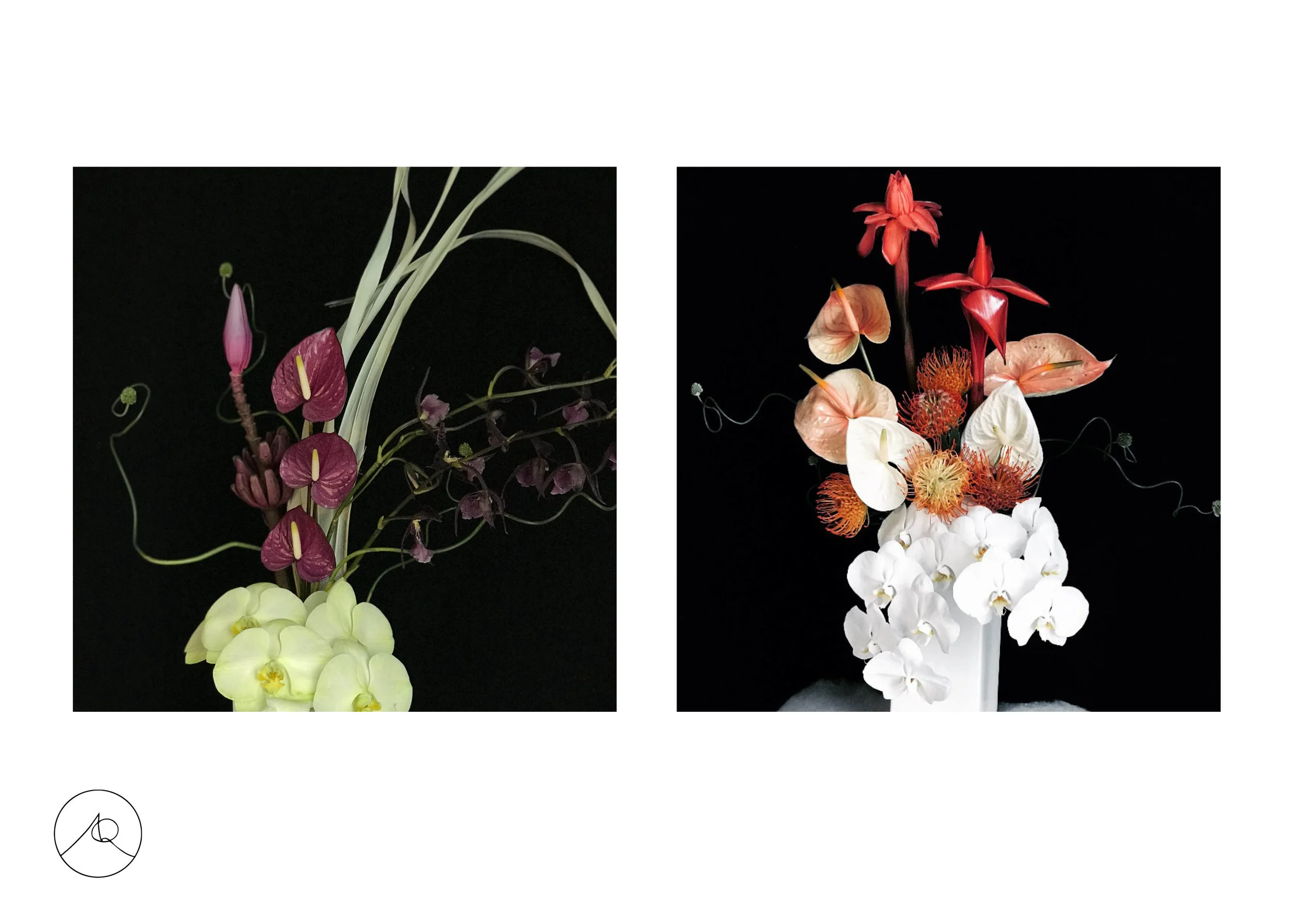 AQ_FloralDeck11:8 new7.jpg