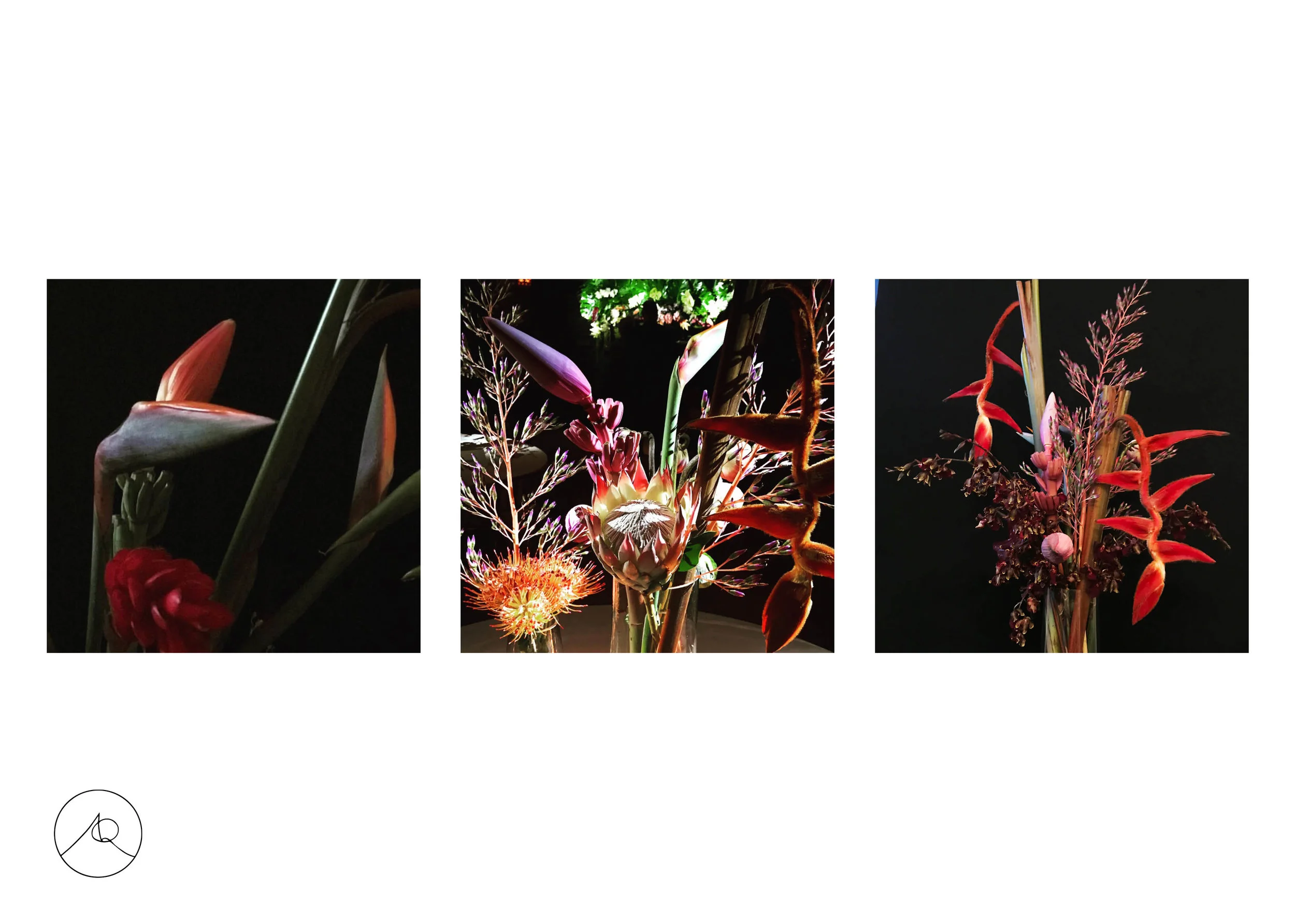 AQ_FloralDeck11:8 new21.jpg