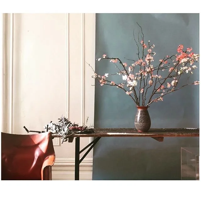 Somewhere Monday.
#flowers #talkingtoflowers #arrangements #thespacebetween  #brooklynwinterlight #branches #blue
