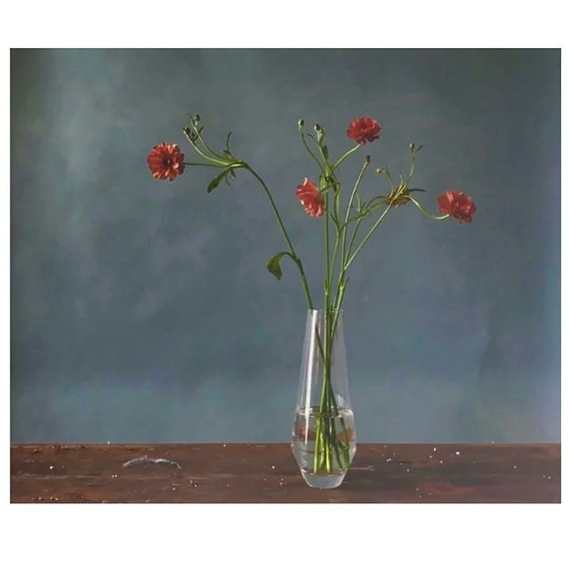 The delicacy and beauty of these flowers remind me .....Shhhhh the quiet stillness of peace of mind is the greatest currency.
#flowerartist #floralstyling #peaceofmind #floralmeditation #love #stilllifestyist #shhhh #japaneseranunculas