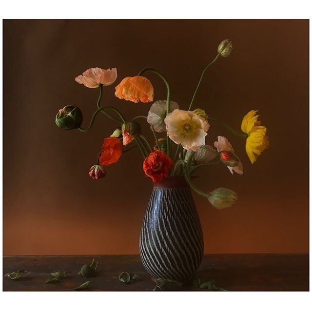 &ldquo;I don&rsquo;t want to stay folded because where I am folded there I am a lie.&rdquo; #rilke #poppies #floraldesign #floralstylist #stilllife #flowers #lightinthedarkness  #springiscoming