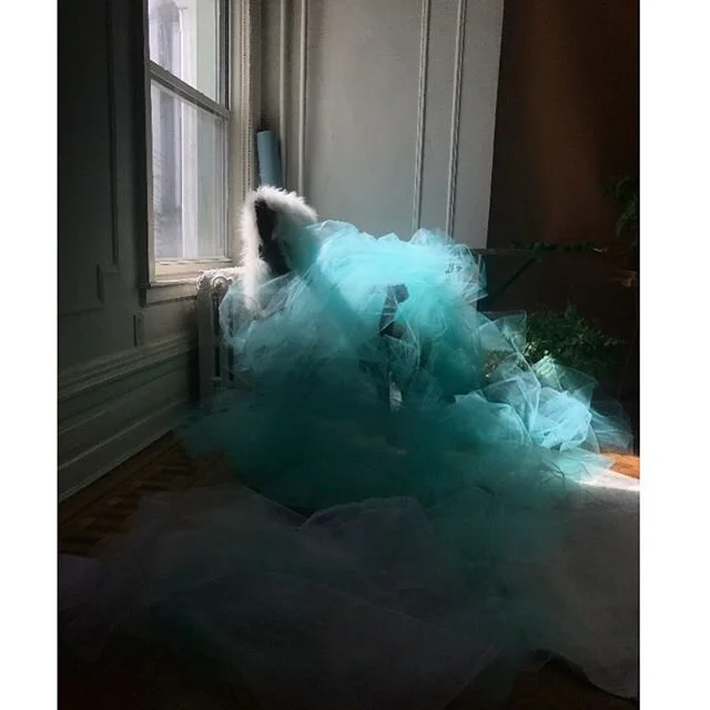 When everyone else was hoarding toilet paper, I hoarded tulle... #priorities #isolateandcreate #artist #play #tulle #design #installation