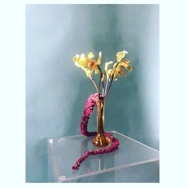 Another Monday.
#floraldesign #botanicalartist #ladyslipper #stayathomeandplay #design