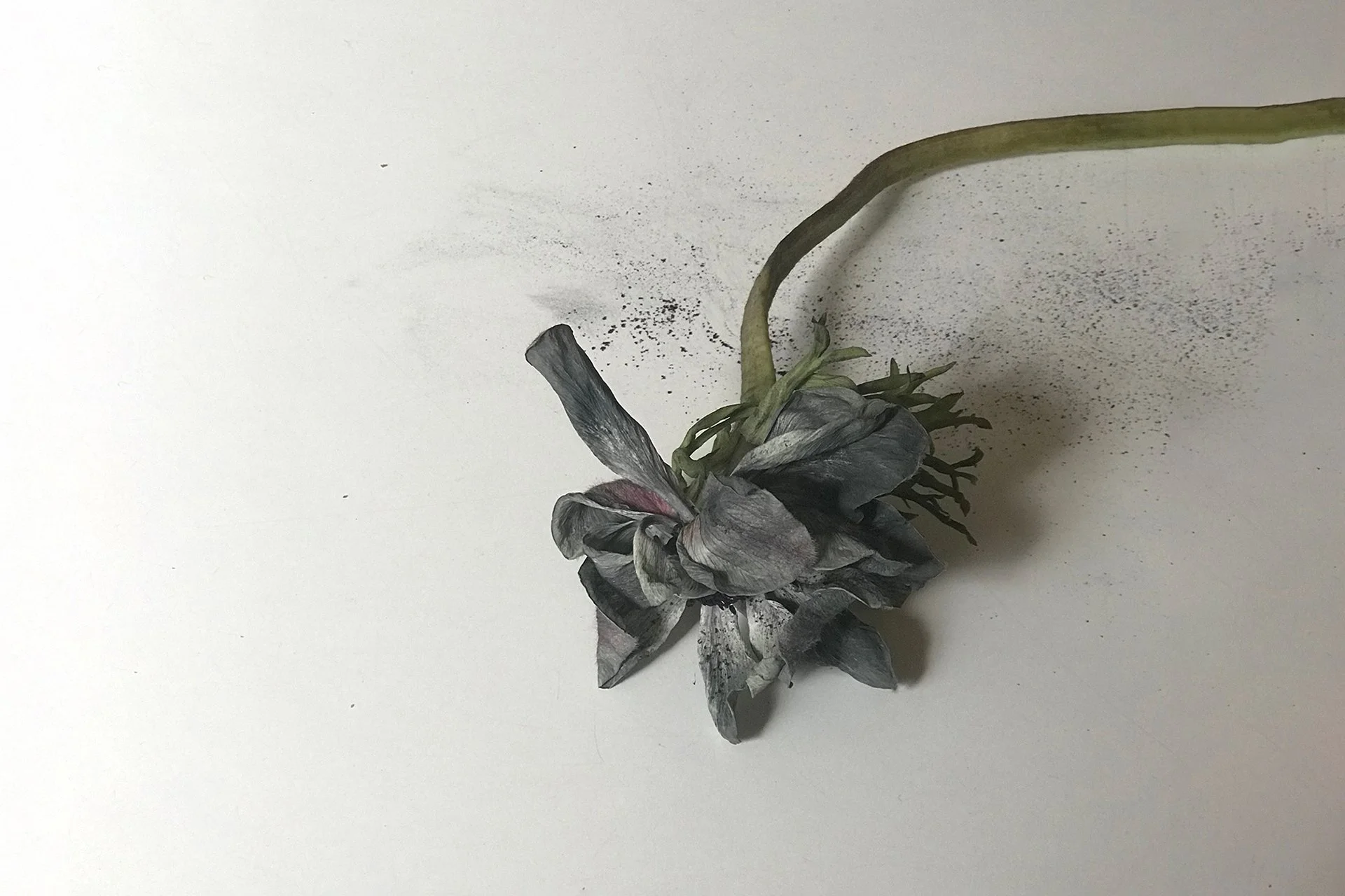 photo 44 adjusted.jpg