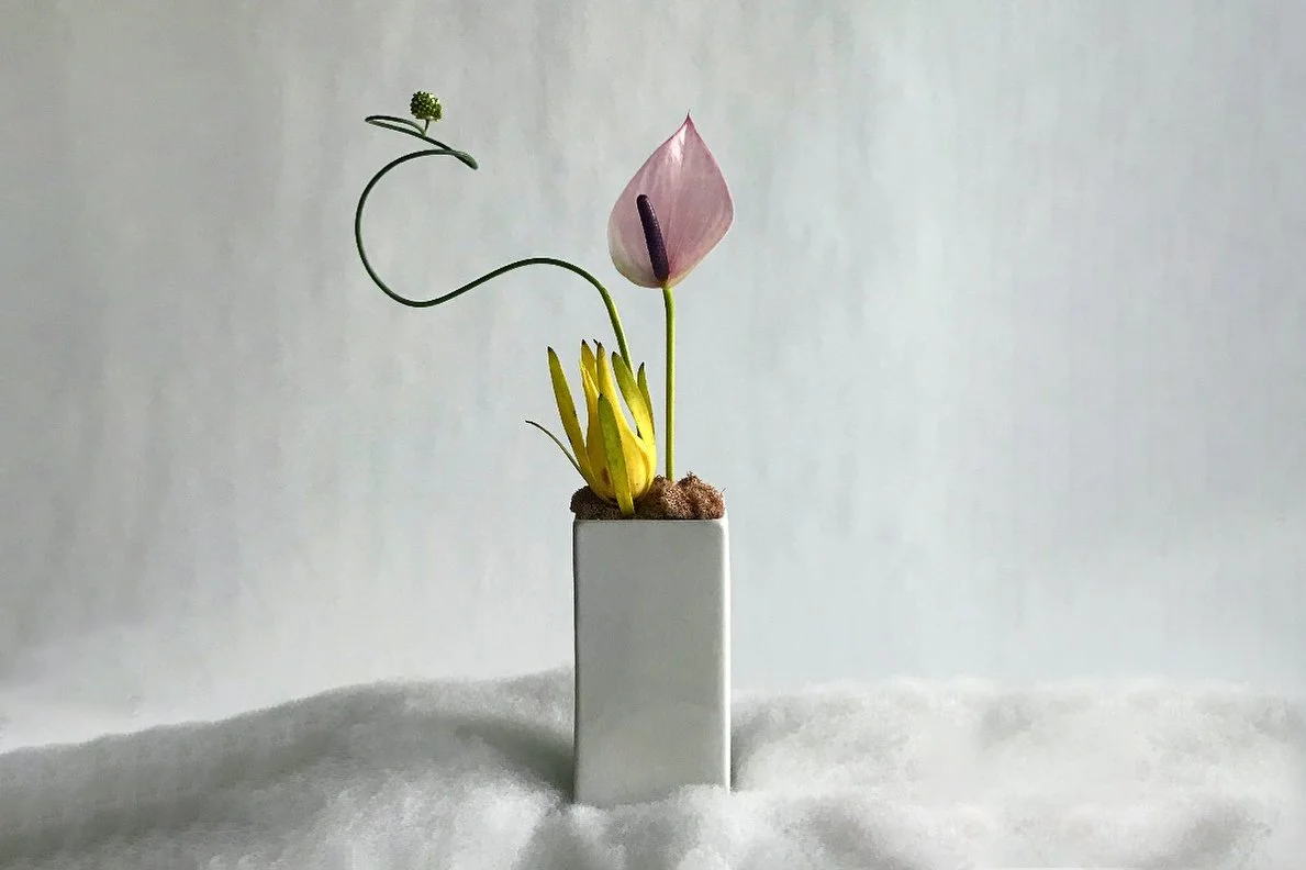 another adjusted photo.jpg