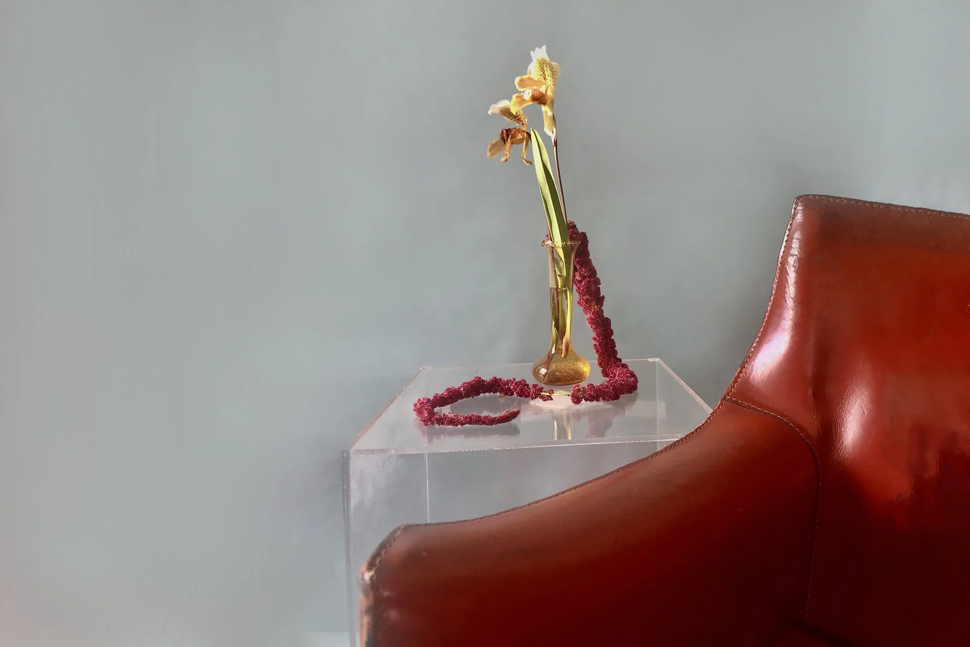 photo 57 adjusted.jpg