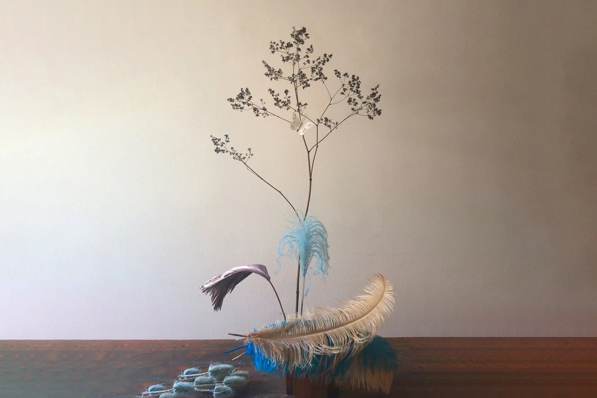 photo 49 adjusted.jpg