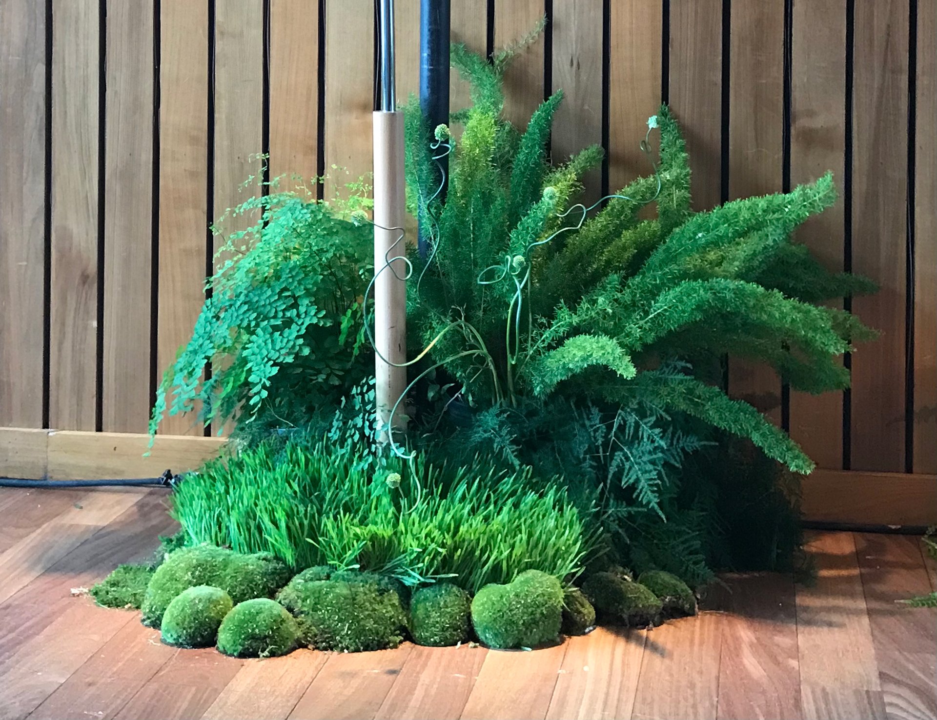 FullSizeRender 2.jpg