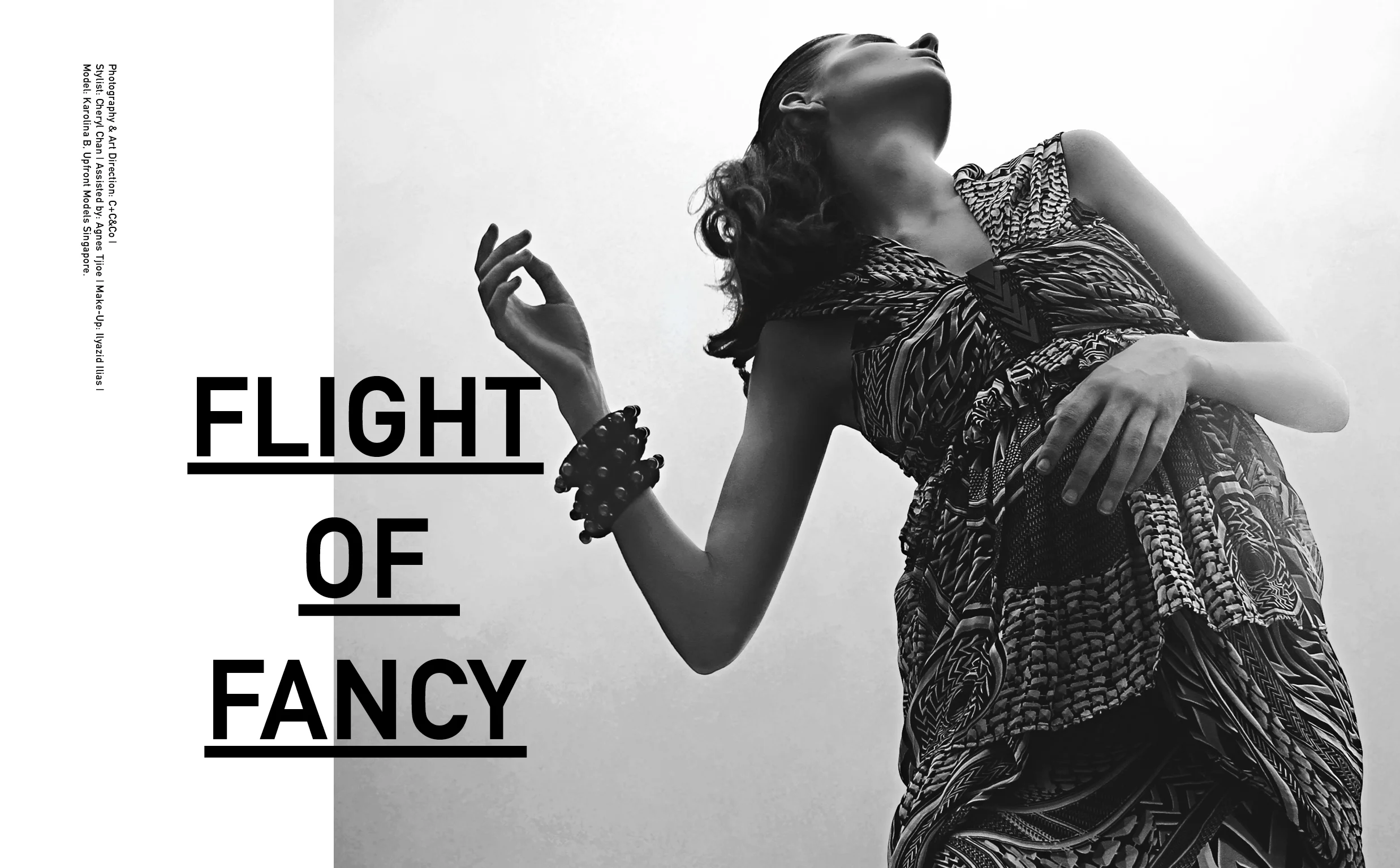 Flight of Fancy-1.jpg
