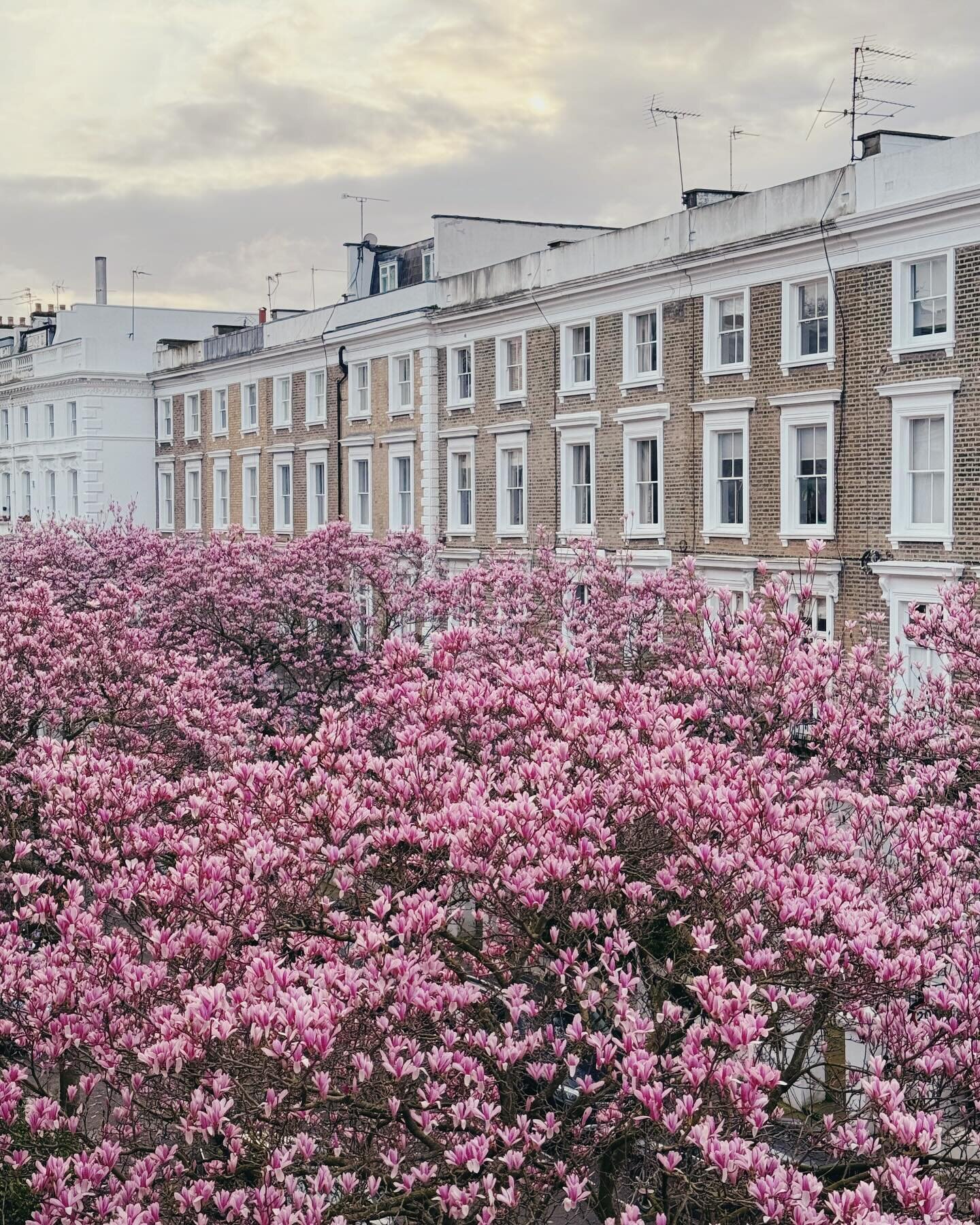 Hello Spring! 🌸👀✨ Wishing you a lovely first day of Spring, and I hope that you have all been keeping well. I am good, my two children and life in general are keeping me really busy. 🤪 But I thought I'd take a minute (or actually 10 &ndash; I don'