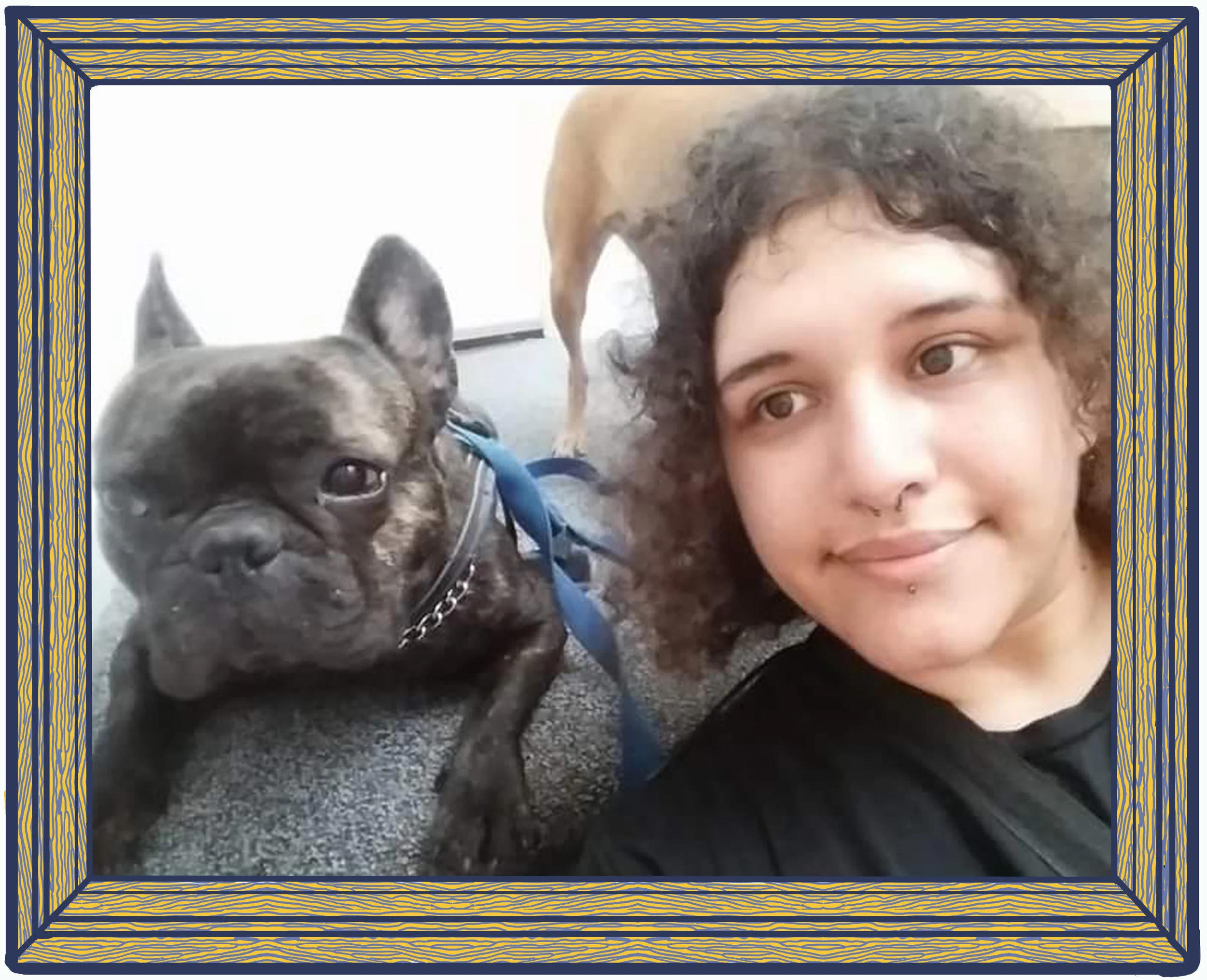 brooklyn-dog-walker.jpeg