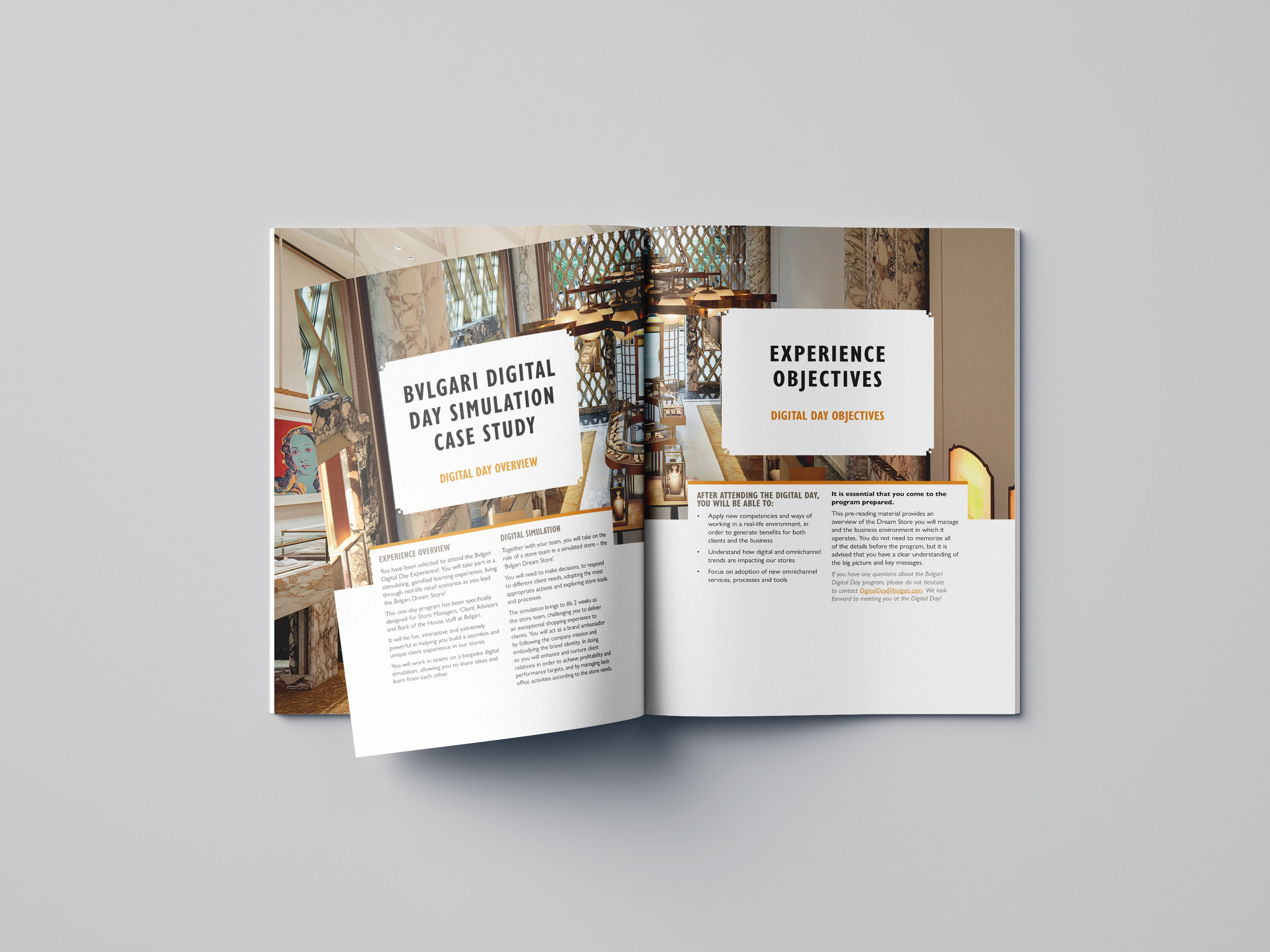 CaseStudyBUL_Inside Pages.jpg