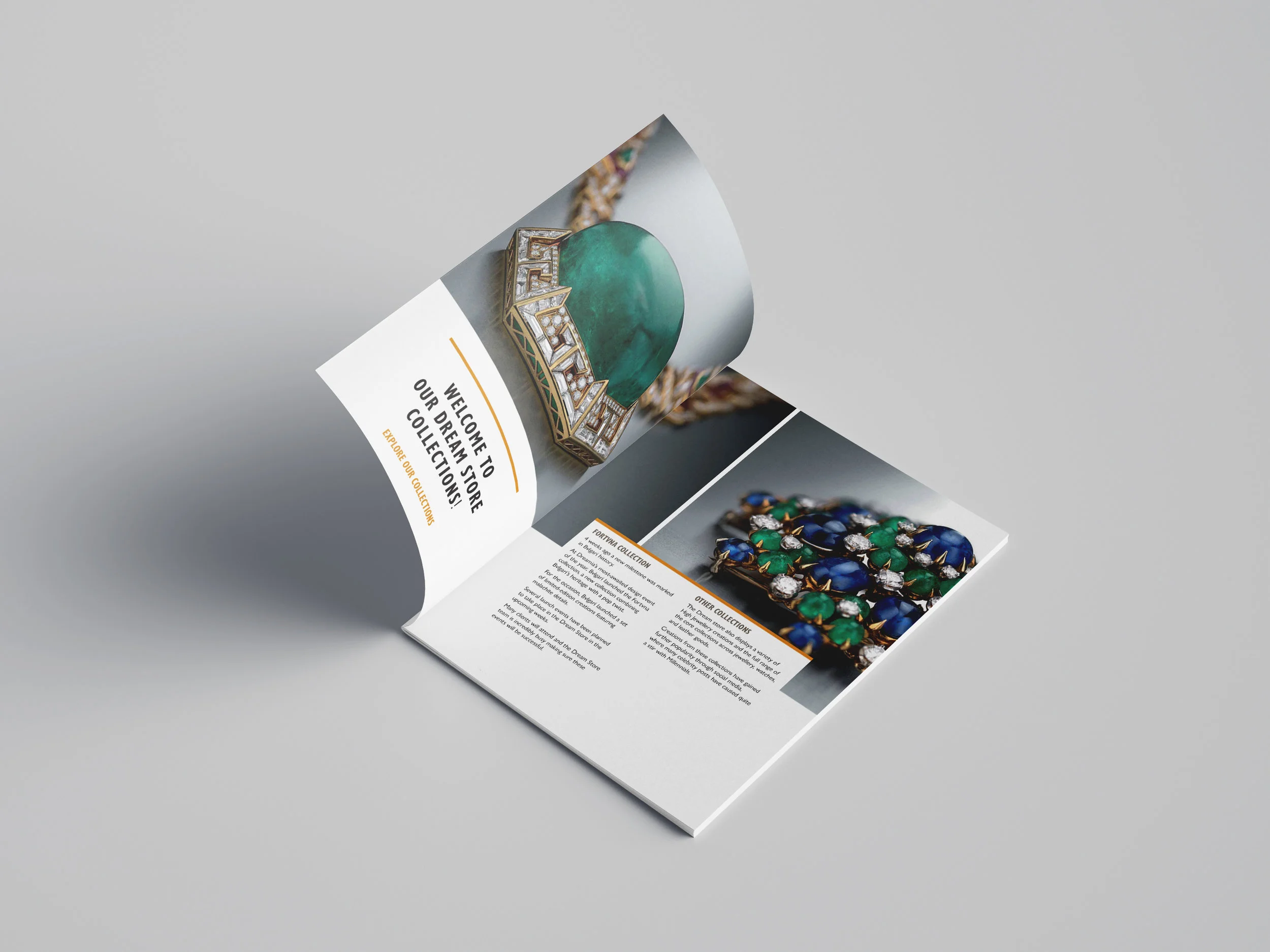 CAseStudy_BUL_First pages.jpg