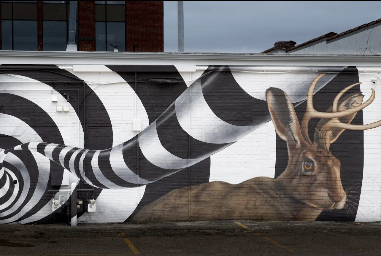 IMG_6527.jpg