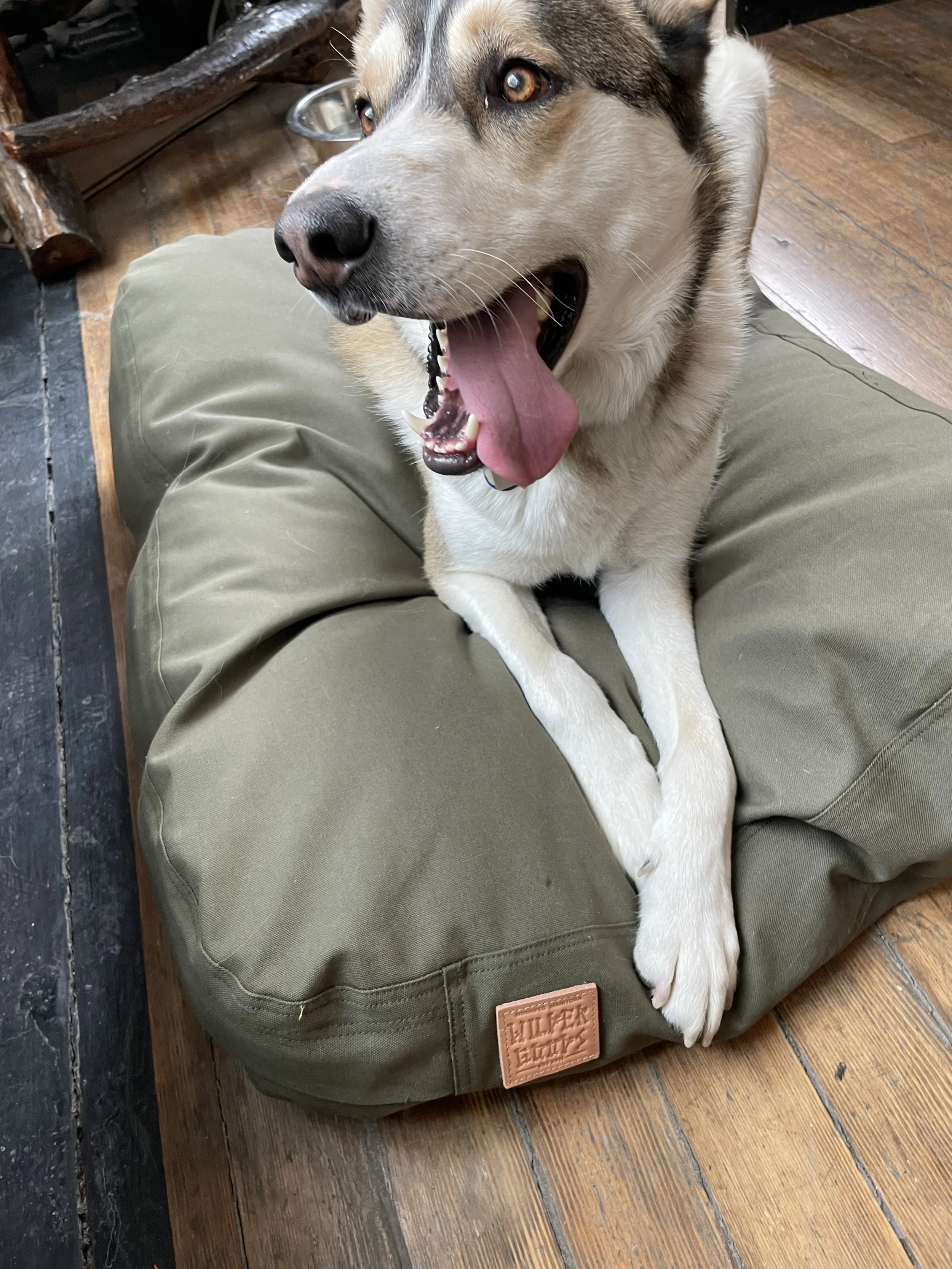 Green_canvas_dog_bed.jpeg