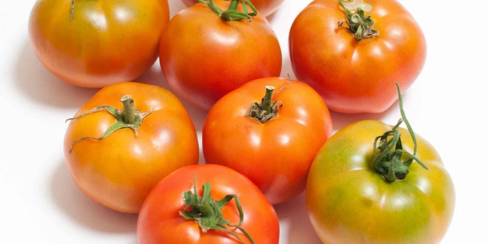 Atlanta Magazine | Atlanta Loves CSAs