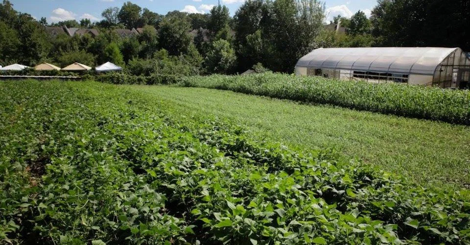 Atlanta Magazine | Urban farmers now opting to rent, not buy, land