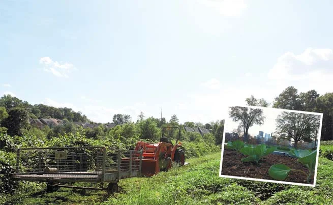 Edible Atlanta | Growing Up: Agriculture in Atlanta Has Arrived