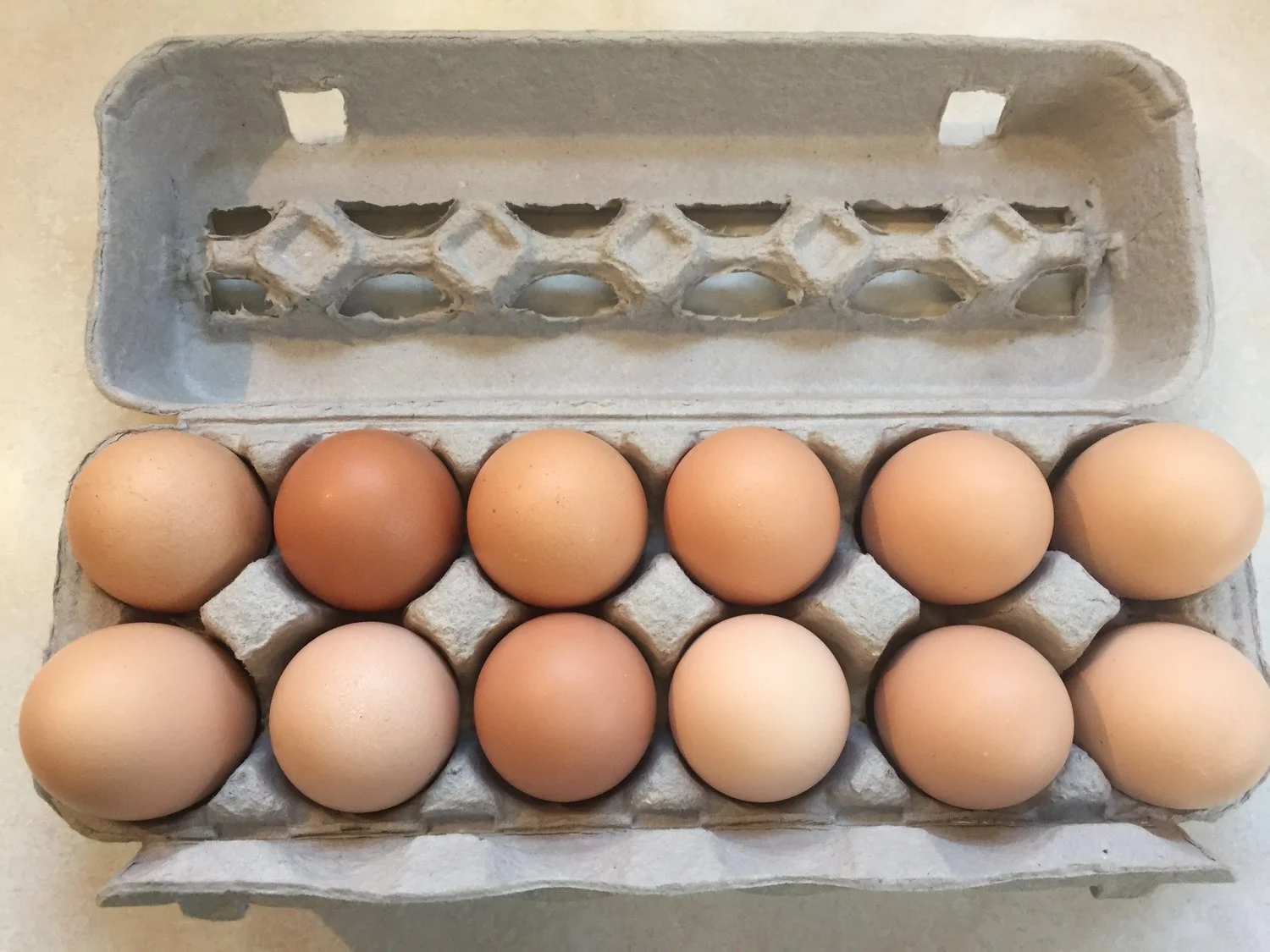 eggshare.jpeg