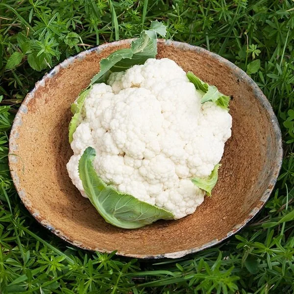 cauliflower