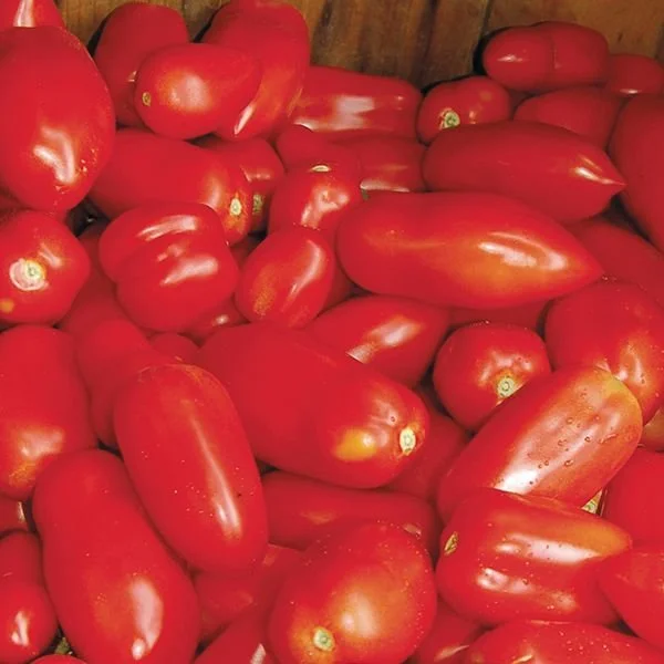 tomato-san-marzano.jpg