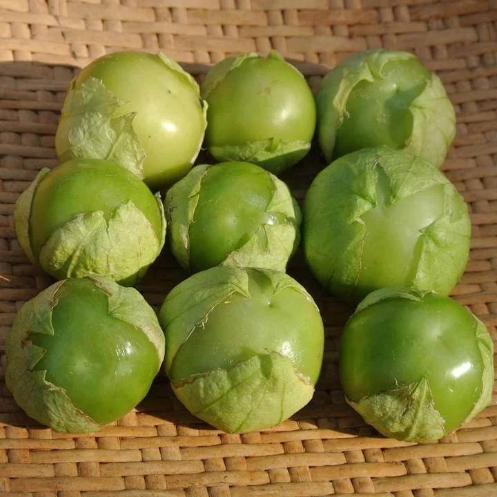 tomatillo_cisineros1.jpg