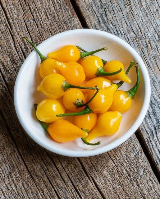PEPPER_Yellow-Biquinho.jpg