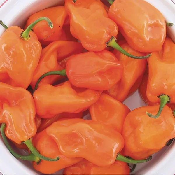 habaNERO.jpg