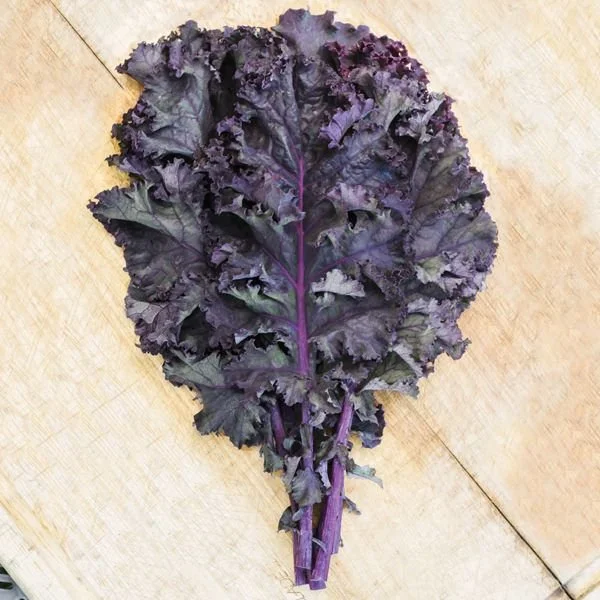 kale-scarlet.jpg