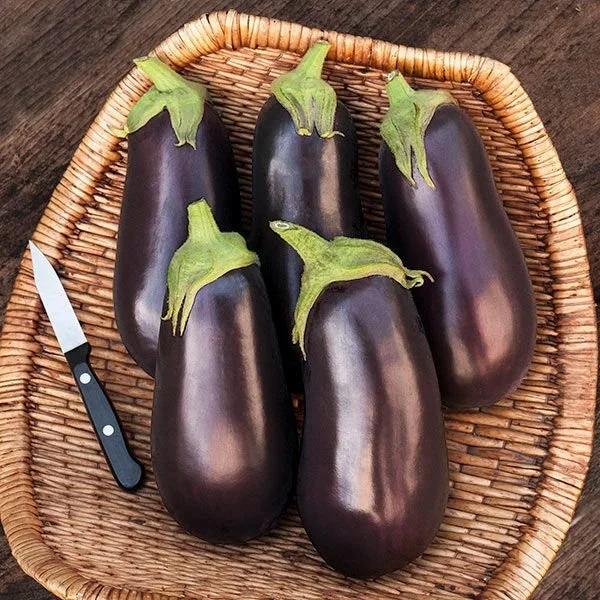 eggplant-traviata.jpg