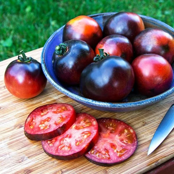 indigo-apple-tomato.jpg